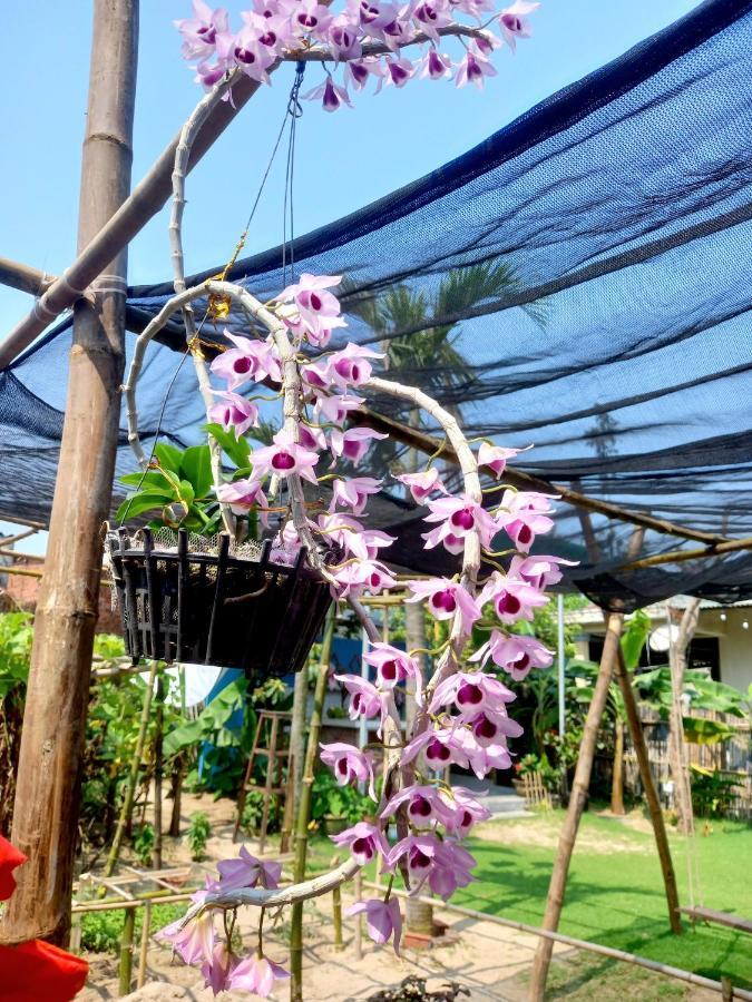 Ngoc An Bang Villa Exterior photo